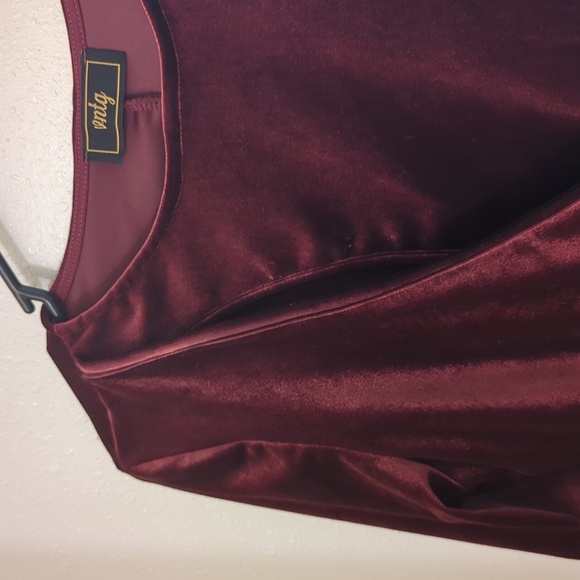 Red Velvet Dress - Picture 2 of 3